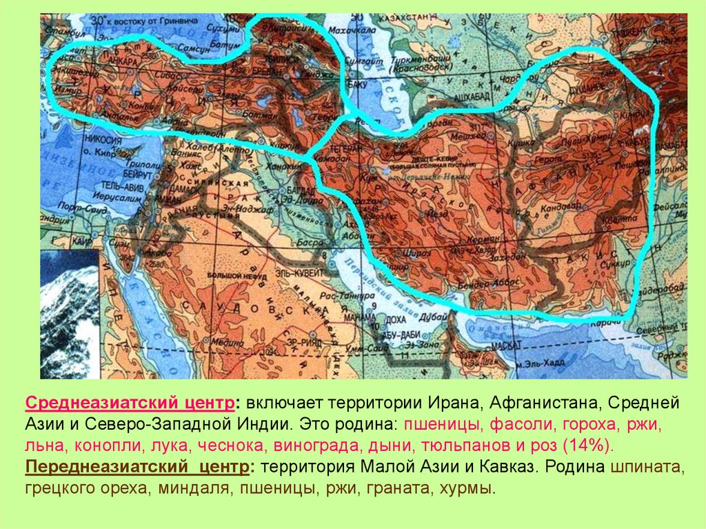 Включи территория. Среднеазиатский центр. Среднеазиатский центр на карте. Среднеазиатский центр происхождения. Среднеазиатский центр культурных растений.