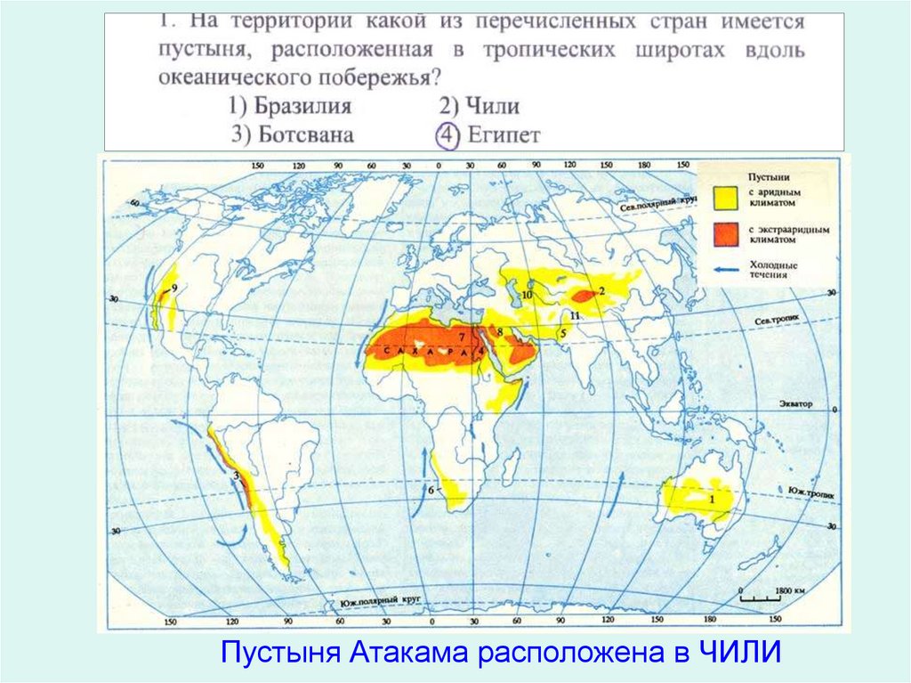 Пустыня Атакама расположена в ЧИЛИ