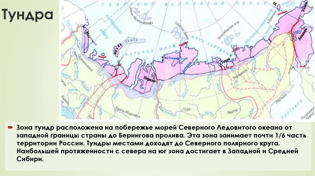 Северные безлесные зоны 8 класс география тест