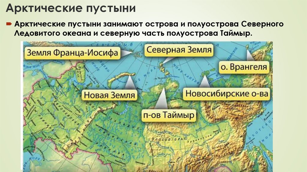 Географическое положение северных безлесных зон. Северные безлесные зоны 8 класс география. Северные безлесные зоны на карте России. Северные безлесные зоны чем заняться человек.