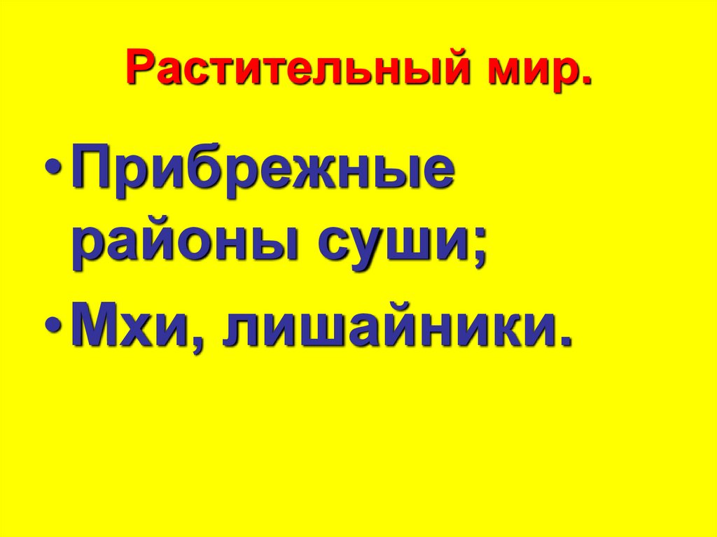 Растительный мир.