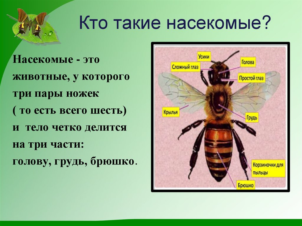 Презентация кто что 1 класс школа россии