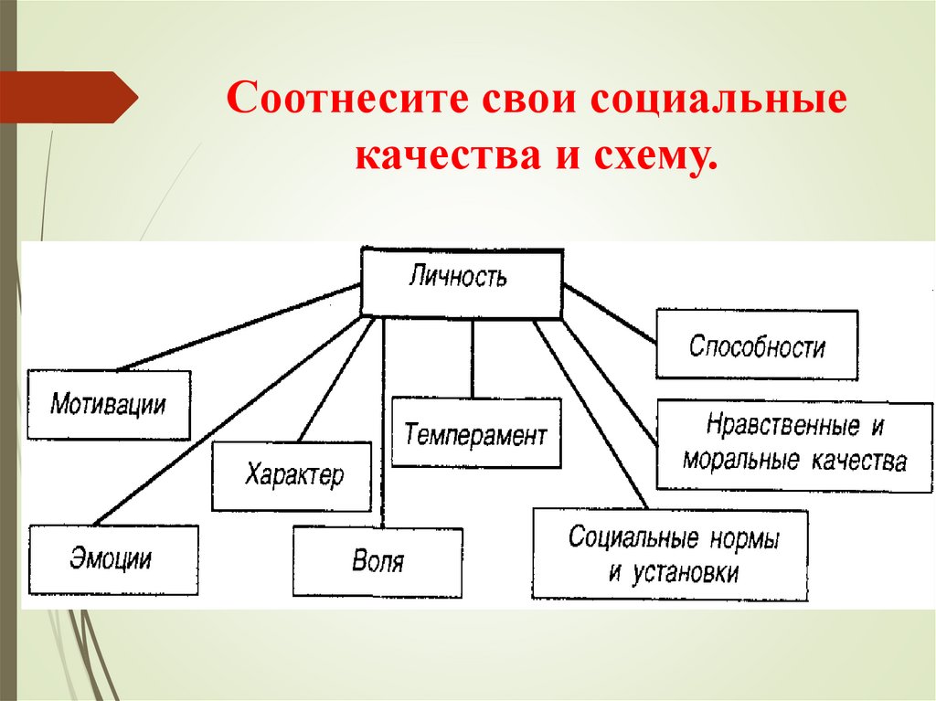 Таблица человека биологическая социальная