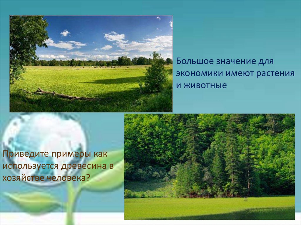 Презентация 3 класс природные богатства и труд людей основа экономики школа россии