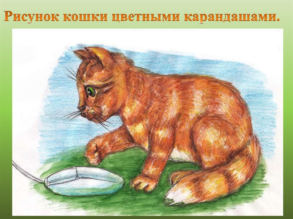 Рисовать любимое животное. Домашний питомец рисунок. Кошка рисунок. Рисование на тему домашние питомцы. Рисуна домашнего питомца.