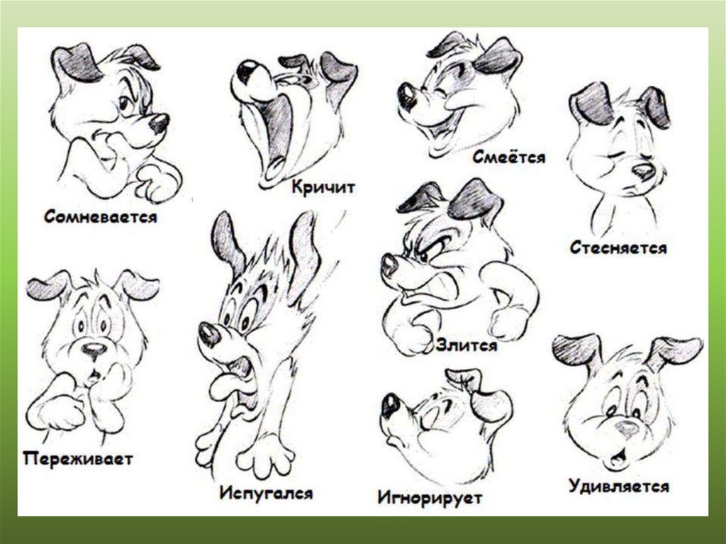 Изобразить характер животного. Изображение характера животных. Животные с разными эмоциями. Эмоции персонажей животных. Эмоции животных в рисунках.