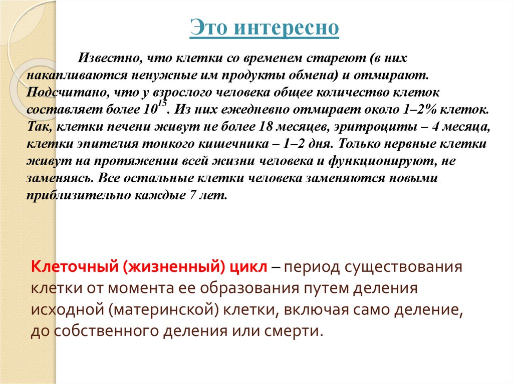Клеточный (жизненный) цикл – период существования клетки от момента ее образования путем деления исходной (материнской) клетки,