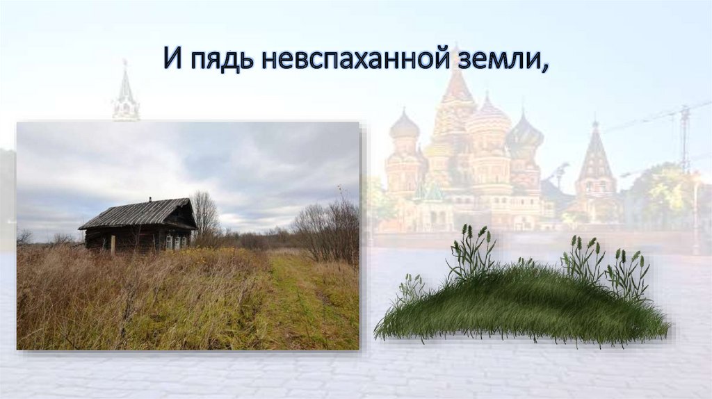 И пядь невспаханной земли,