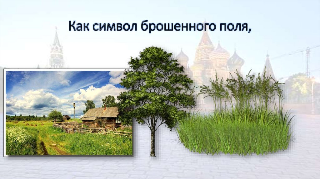 Как символ брошенного поля,