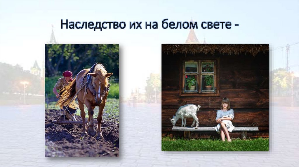 Наследство их на белом свете -