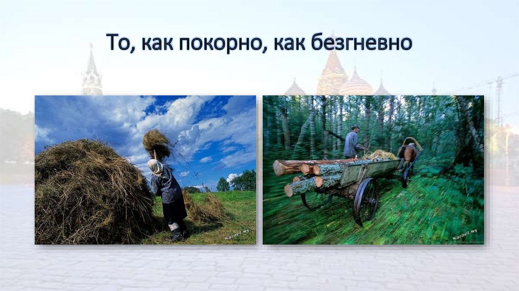 То, как покорно, как безгневно