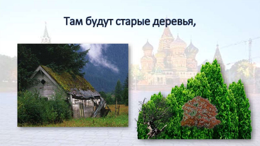 Там будут старые деревья,