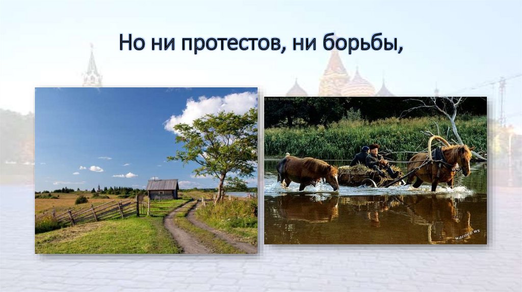 Но ни протестов, ни борьбы,