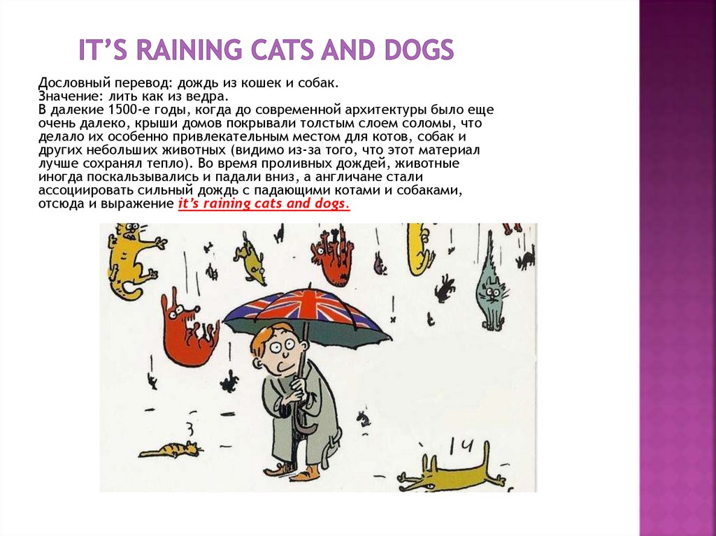 Rain cats and dogs идиома