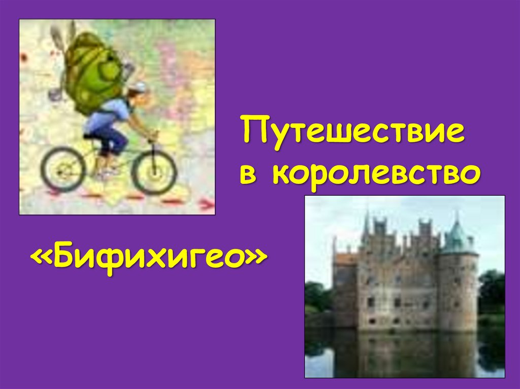 Путешествие в в королевство «Бифихигео»