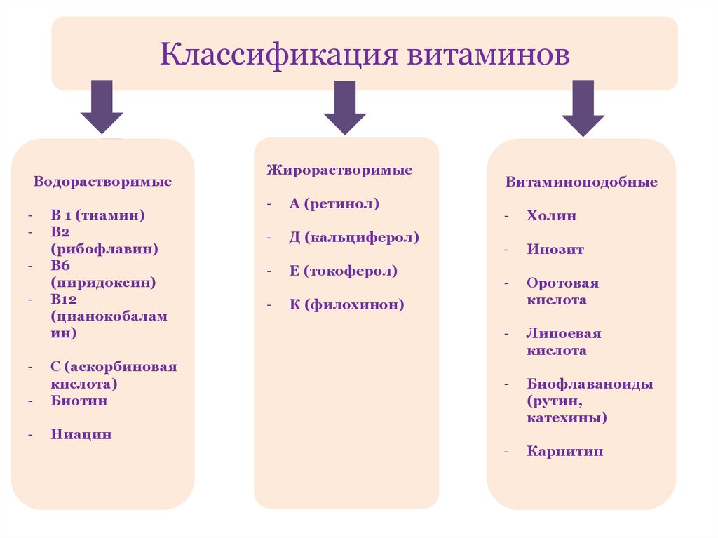 Классификация витаминов. Принципы классификации витаминов. Функциональная классификация витаминов. Витамины классификация витаминов. Классификация витаминов схема.