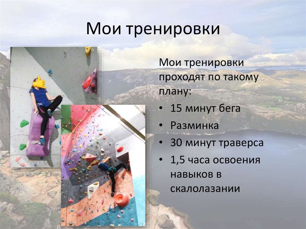 Мои тренировки