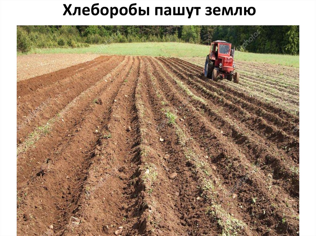 Фреза пахать землю фото