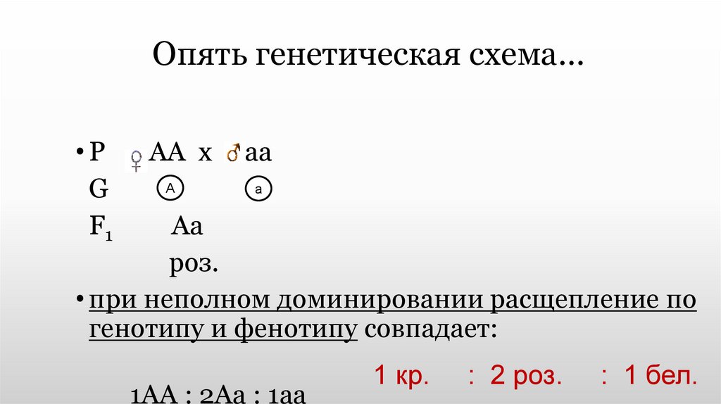 Скрещивание гетерозигот при неполном доминировании