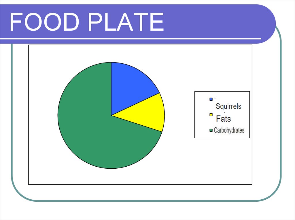 FOOD PLATE