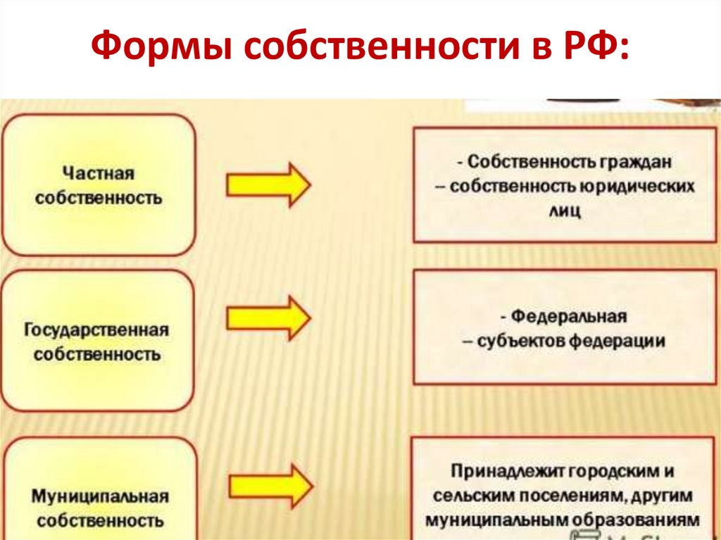 План формы собственности