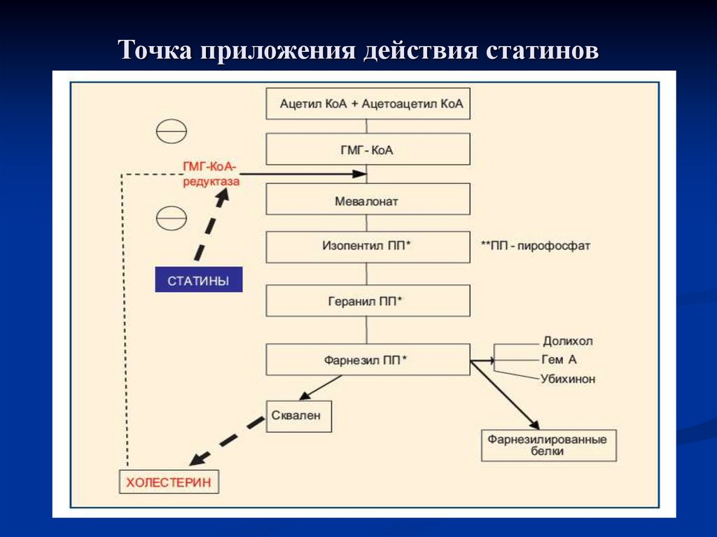 Приложение действие. Схема действия статинов. Точки приложения действия. Точка приложения статинов эффекты. Статины фарм эффекты.