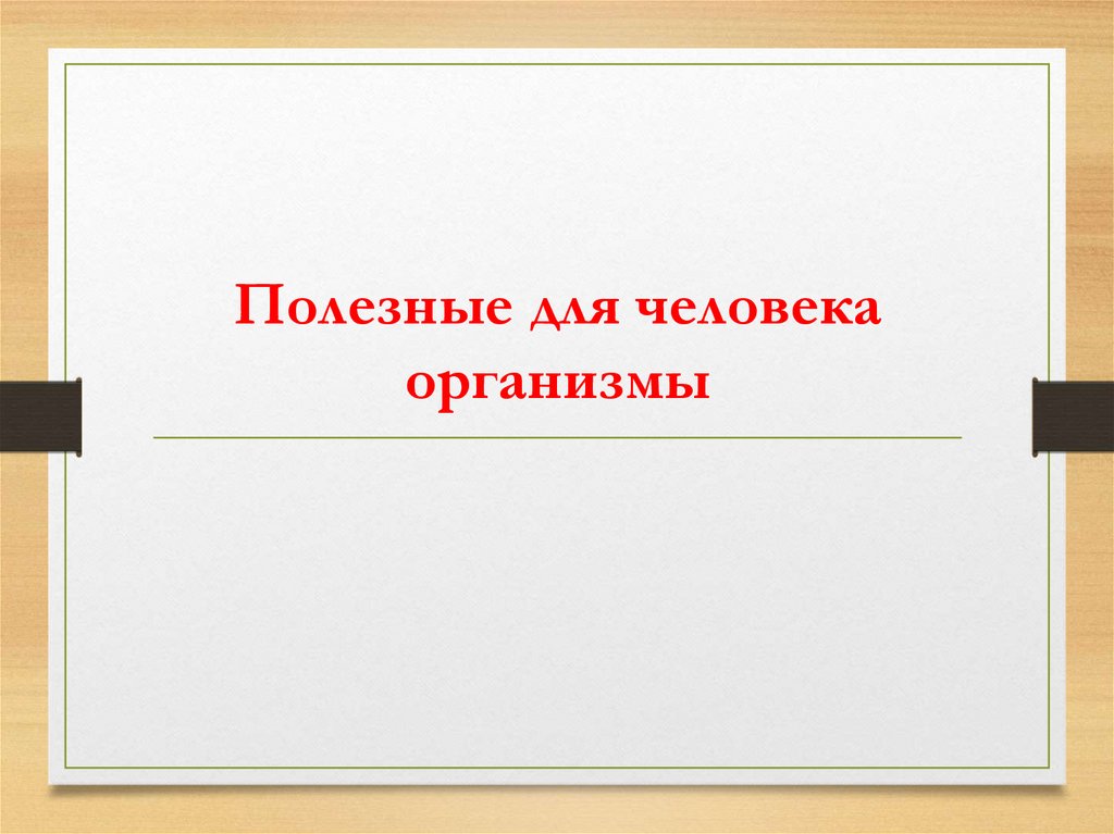 Презентация значение живых организмов в природе и в жизни человека 5 класс