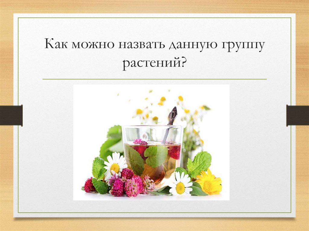 Значение живых организмов. Как можно назвать данную группу растений. Как называется данная группа растений. Значение организмов в природе и жизни человека 5 класс. Как можно назвать группу с цветами.