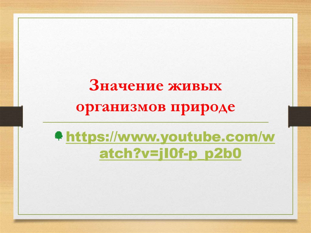 Роль организмов в природе