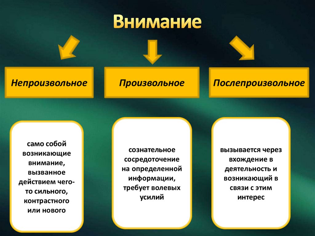 Произвольное внимание презентация