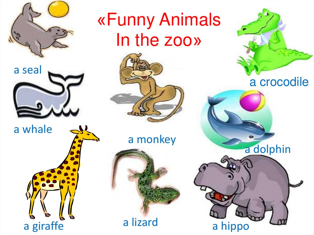Funny Animals In the zoo - online presentation