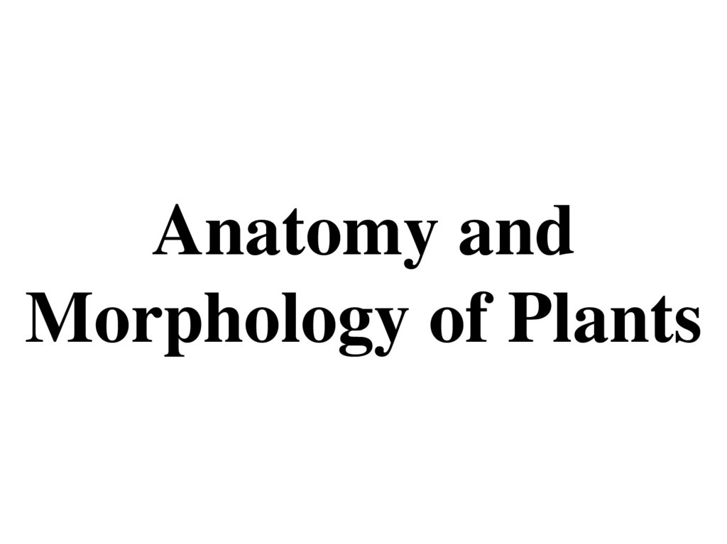 Anatomy and Morphology of Plants