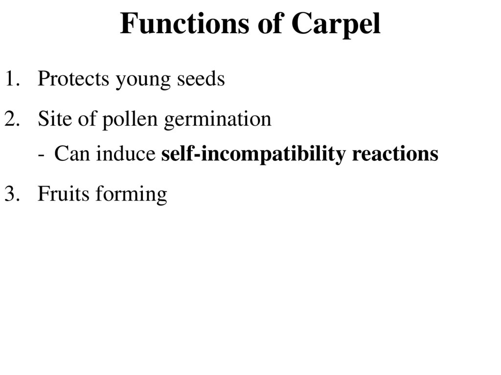 Functions of Carpel