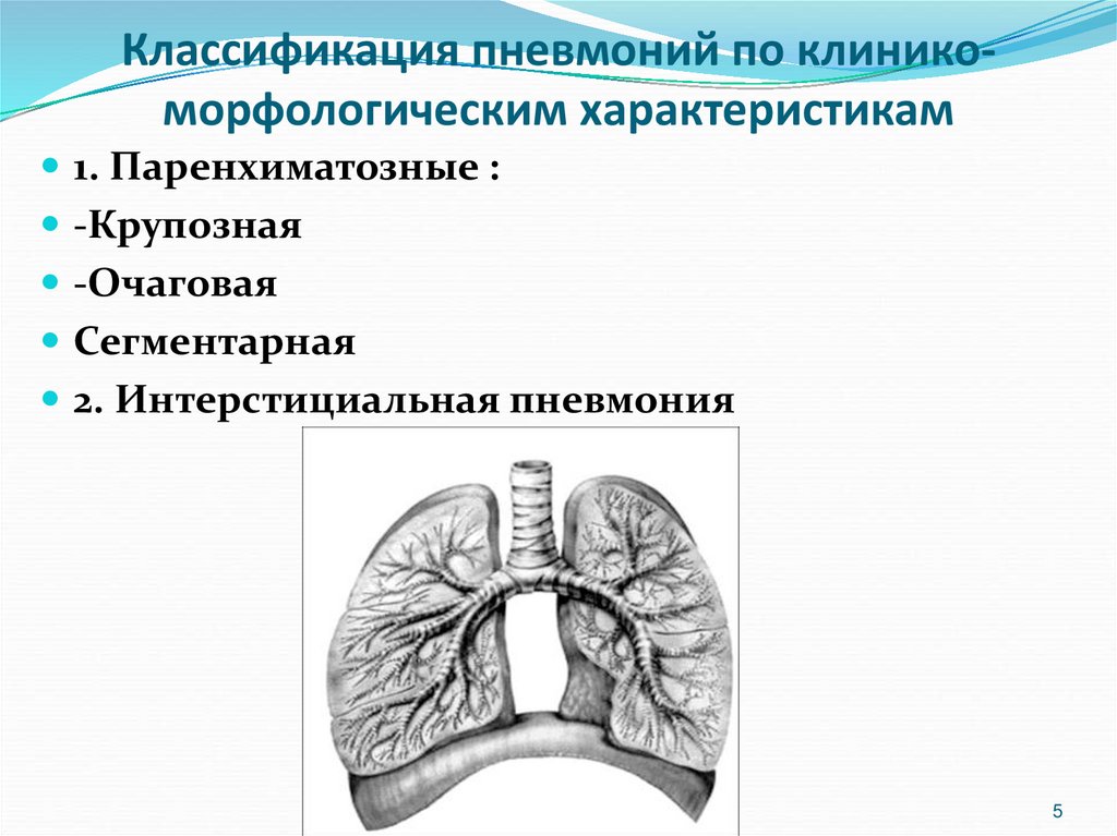 Классификация пневмоний по клинико-морфологическим характеристикам