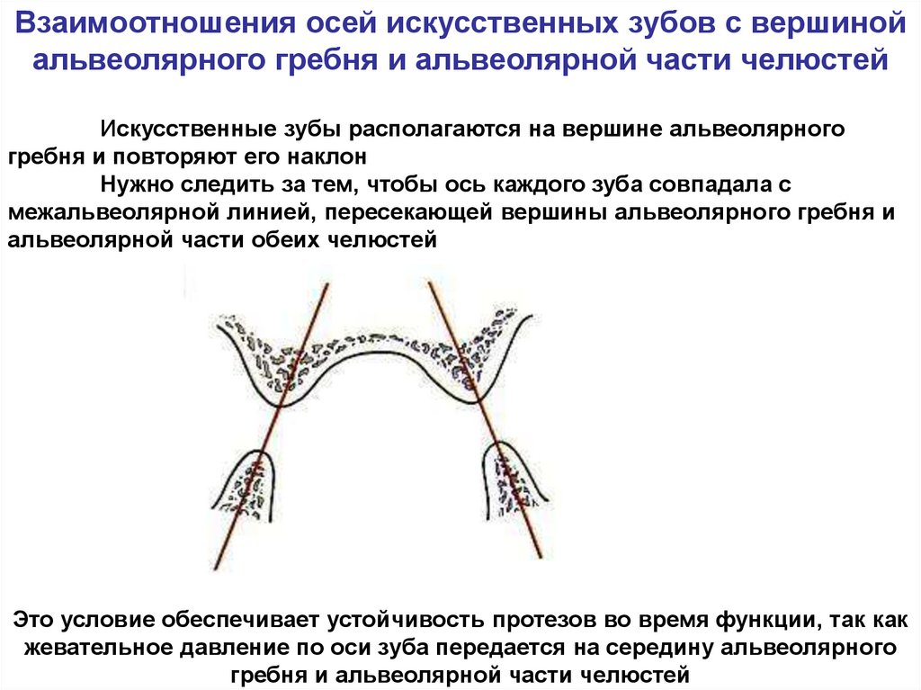 Основы окклюзионной диагностики презентация