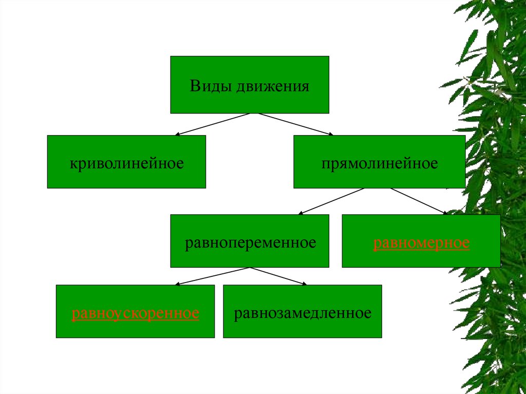 Записать виды движения. Классификация видов движения. Перечислите виды движения. Виды передвижения. Классификация движений в физике.