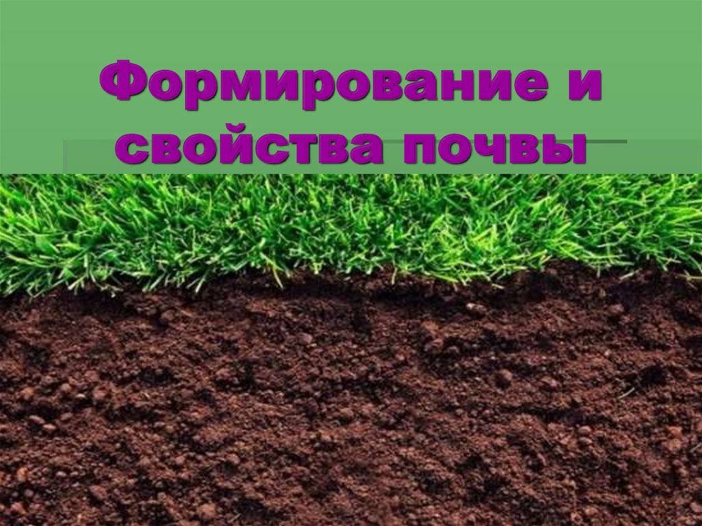 Формирование и свойства почвы - презентация онлайн