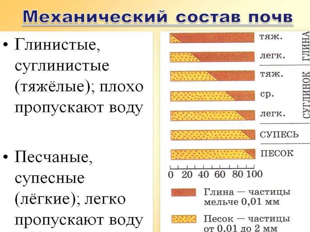 Механический состав почвы. По механическому составу почвы делятся. Механический состав почвы таблица. Презентация на тему механический состав почвы. Механический состав и структура почвы.