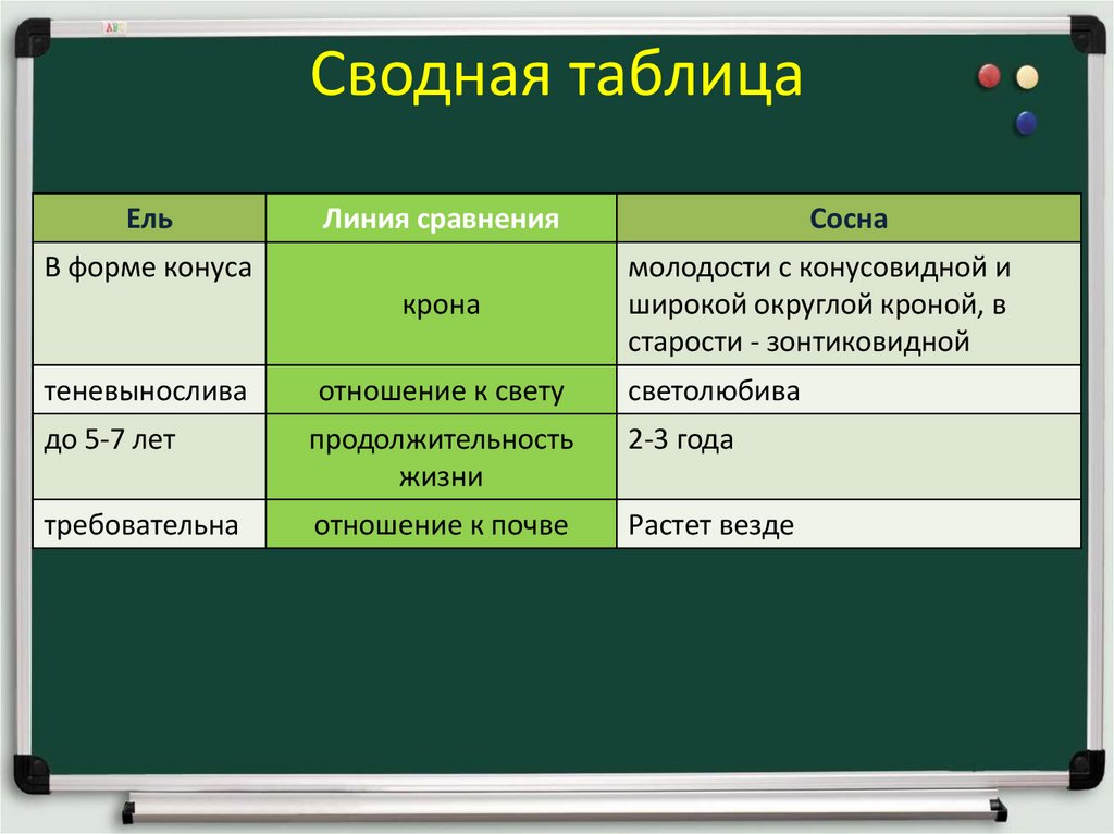 Сводная таблица