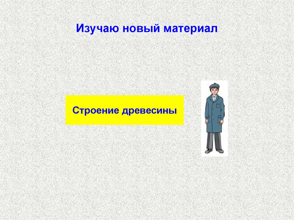 Изучаю новый материал