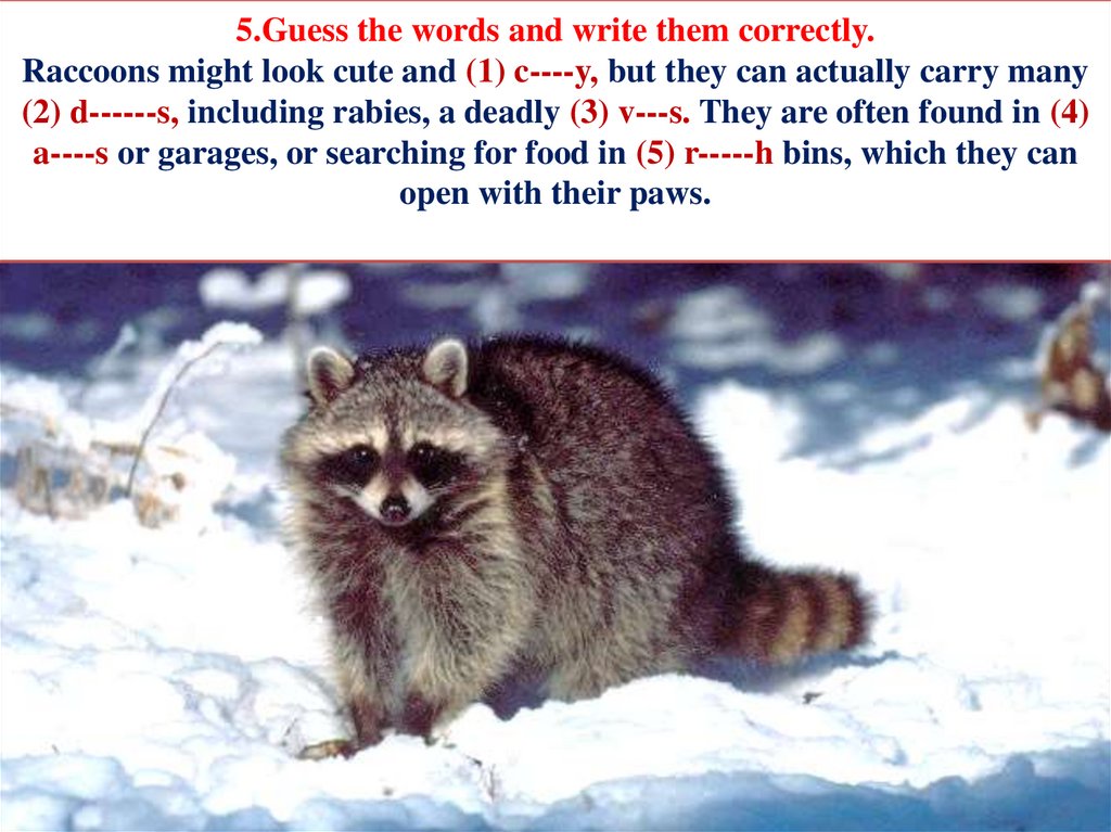 5.Guess the words and write them correctly. Raccoons might look cute and (1) c----y, but they can actually carry many (2)