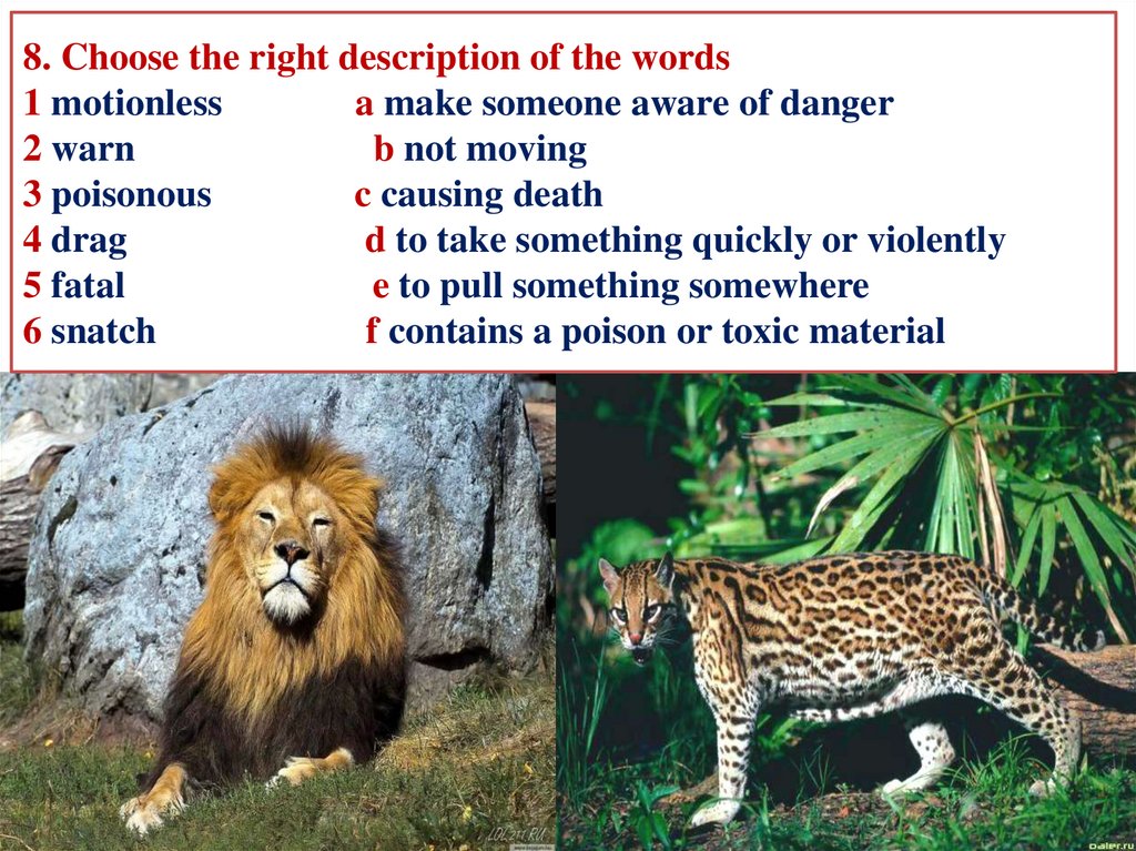 8. Choose the right description of the words 1 motionless a make someone aware of danger 2 warn b not moving 3 poisonous c