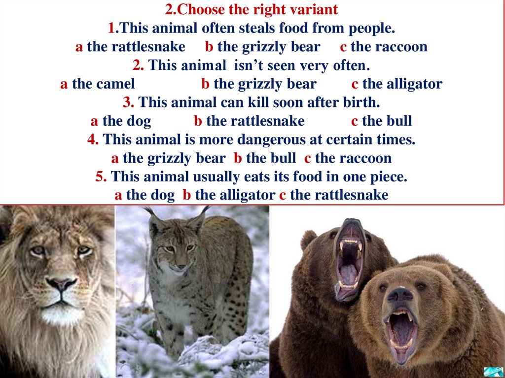 2.Сhoose the right variant 1.This animal often steals food from people. a the rattlesnake b the grizzly bear c the raccoon 2.