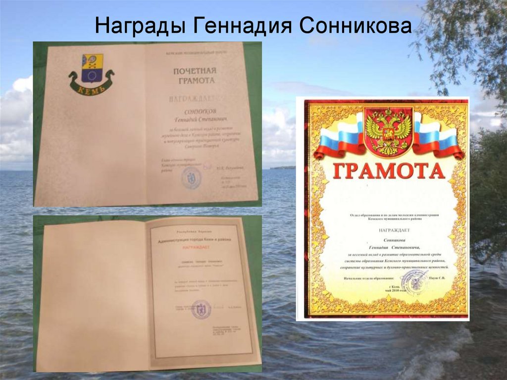 Награды Геннадия Сонникова