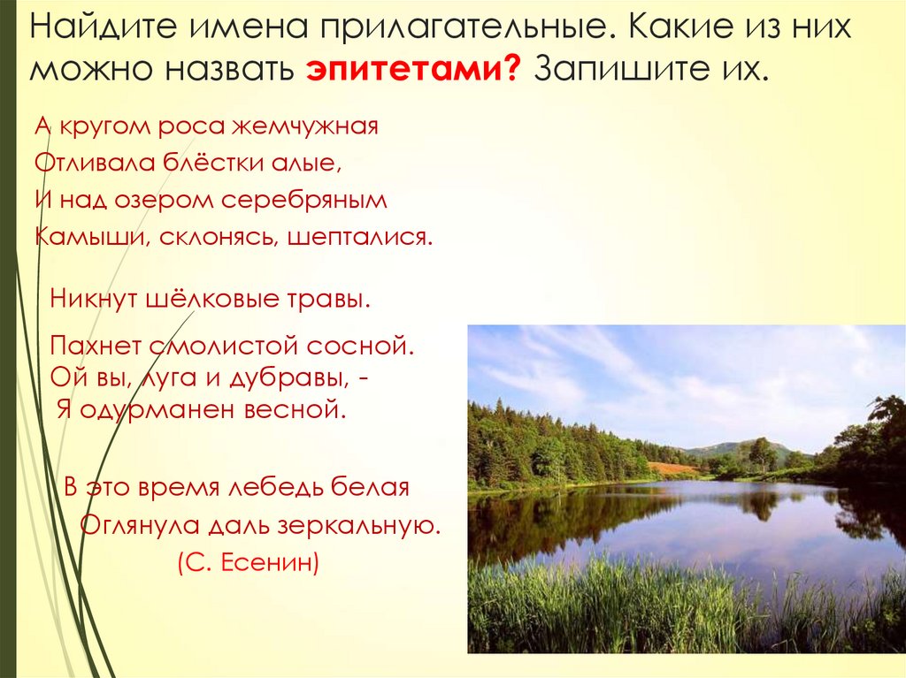 Лебедь какой прилагательные. Деревня какая прилагательные. Леса какие прилагательные. Озеро какое прилагательные. Озера какие прилагательные.