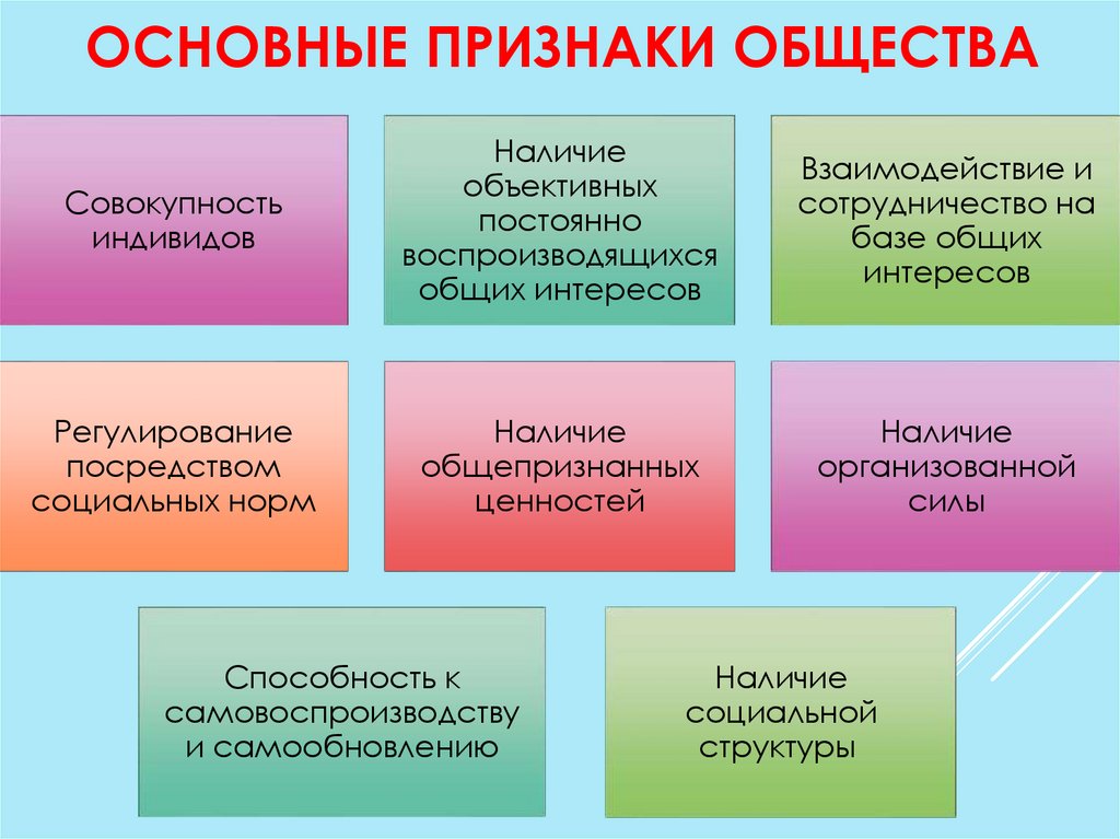 Три основных признака общества