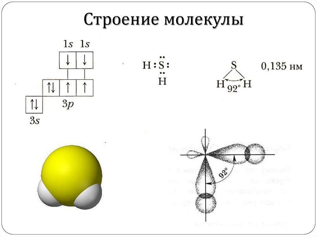 Строение сероводорода. Схема образования молекул h2s. H2s строение молекулы. Сера строение молекулы. Механизм образования молекул h2s.