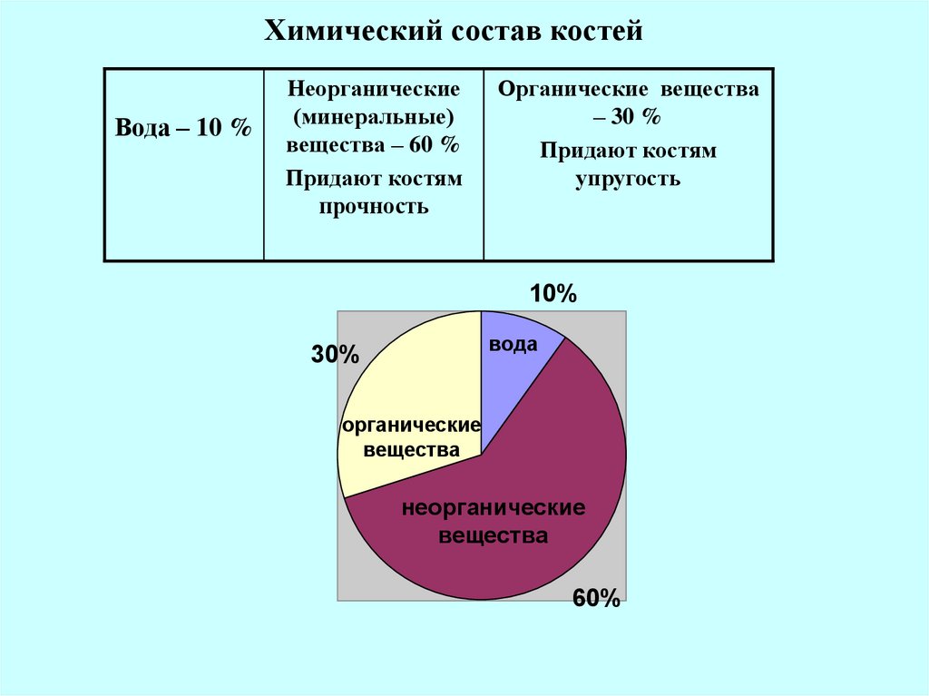 Химический состав костей