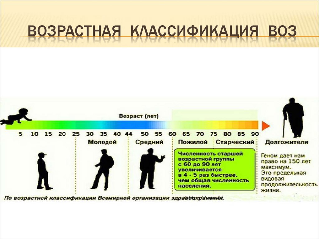 Молодежь по возрасту в россии. Классификация возраста воз 2023. Градация возраста по воз 2023.