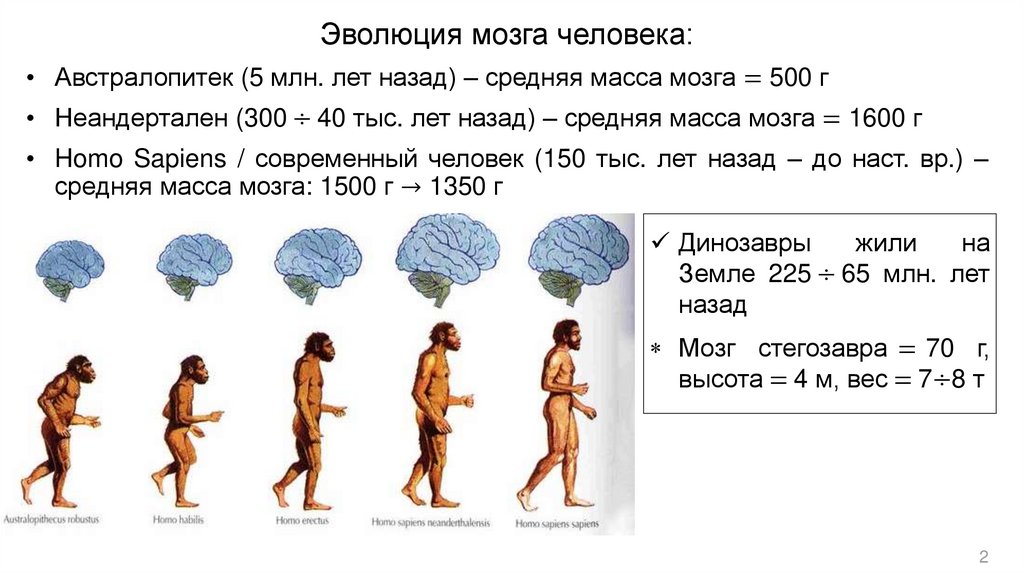 Проект на тему эволюция человеческих потребностей